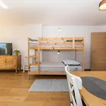 Old Boatman's House Bled